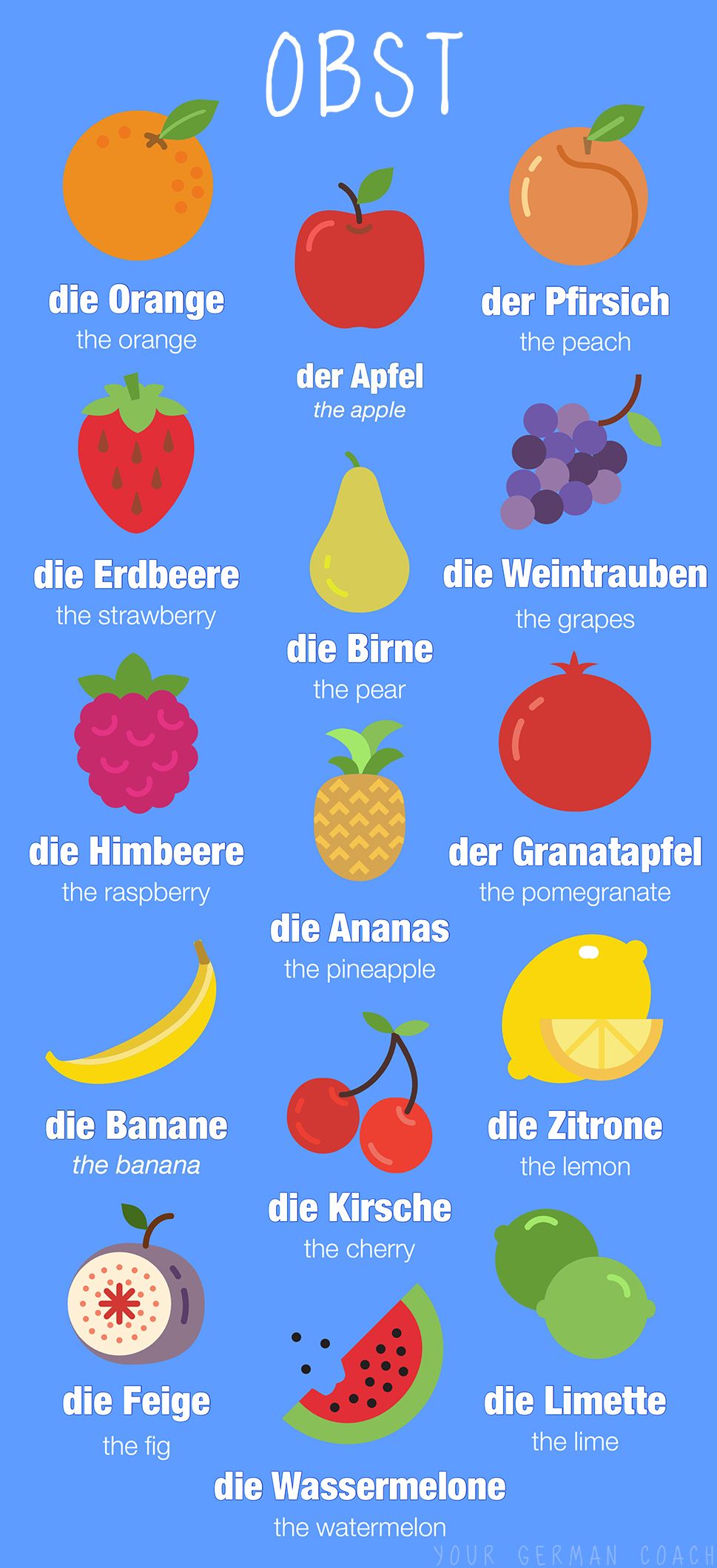Fruit – German Vocabulary