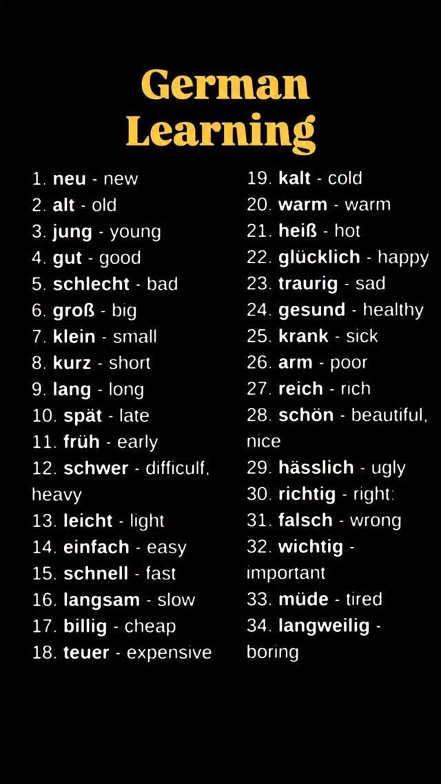 226K views | Reel by Yourgermansir